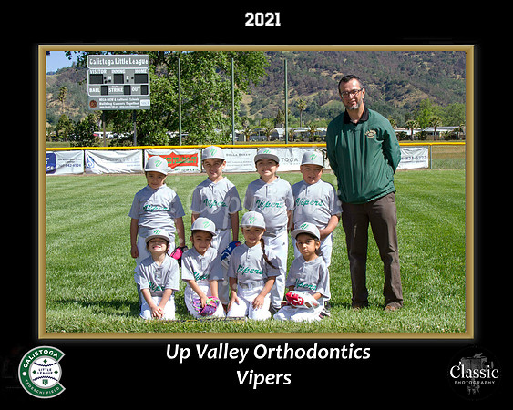 Vipers
