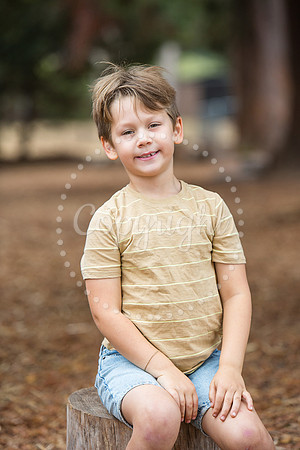 IMG_0816 copy