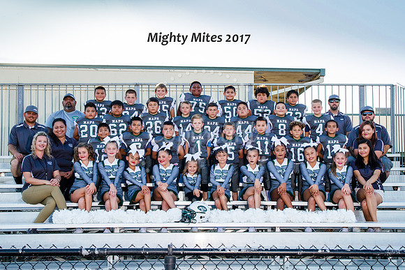 Mighty Mites-2