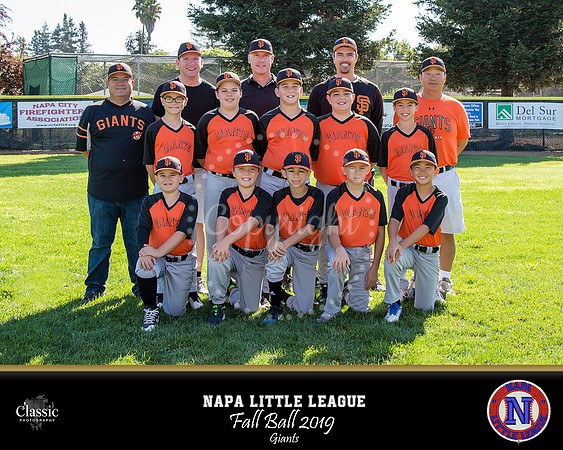 NV_templateNLL fall ball 19
