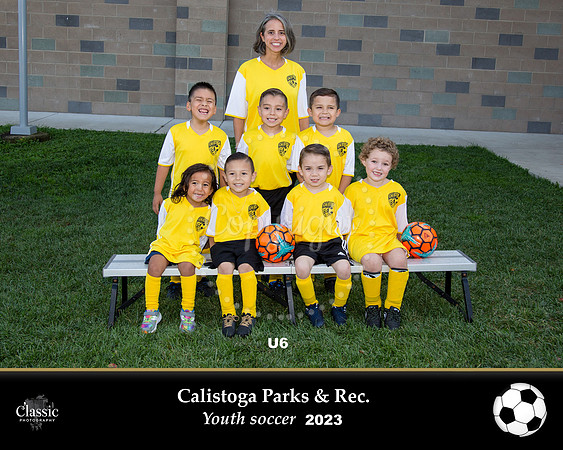 U6_Diana_Team3