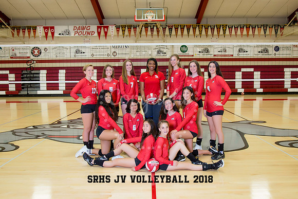 JVVolleyball