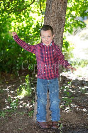 IMG_0382pp2