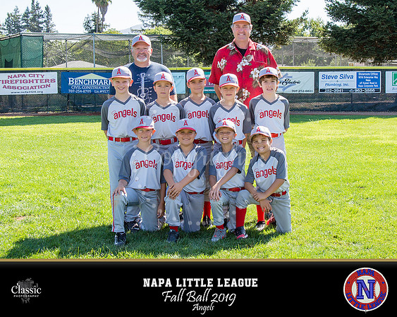 NV_templateNLL fall ball 19