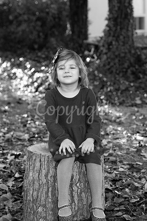 IMG_0554_ copy.2jpg