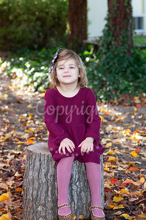 IMG_0554_ copy