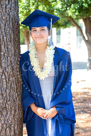 IMG_1327-Edit