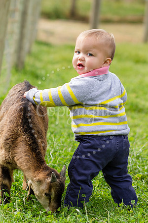 Finn & Miller-IMG_5829-Edit