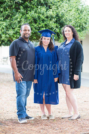 IMG_0237-Edit-4