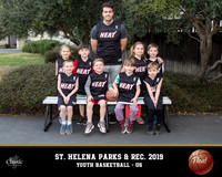 NV_template-NPR basketball- heat