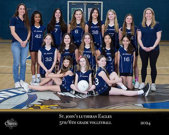 56Vball_Tempalte