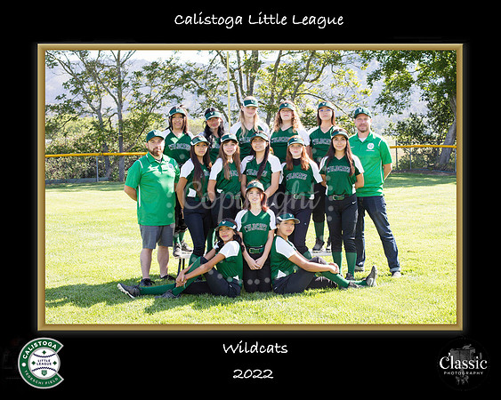 Wildcats