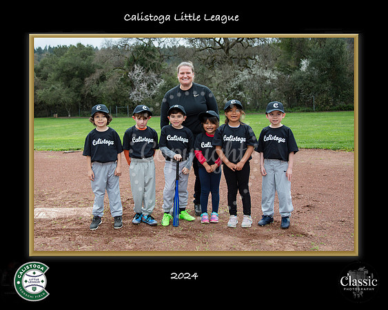 CLL_Team 1