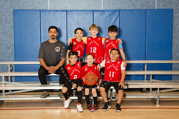 Raptors