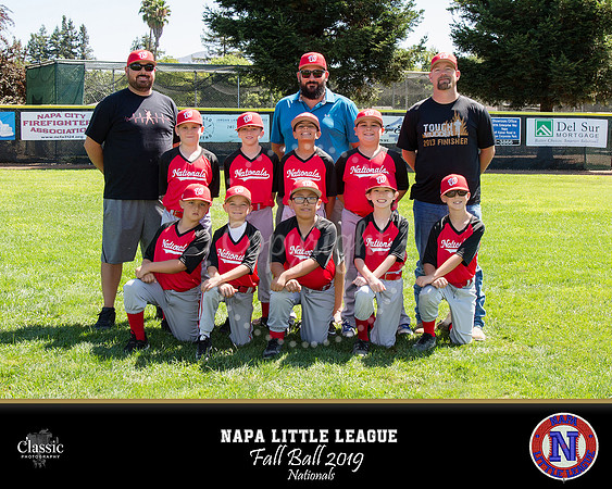 NV_templateNLL fall ball 19