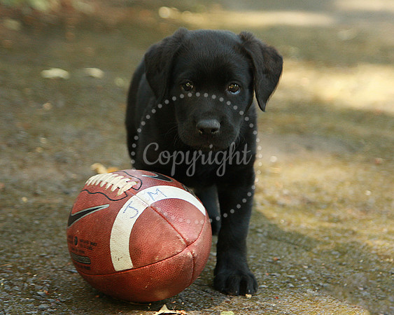 IMG_0674_3402 copy