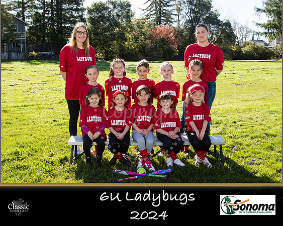 Ladybugs_template