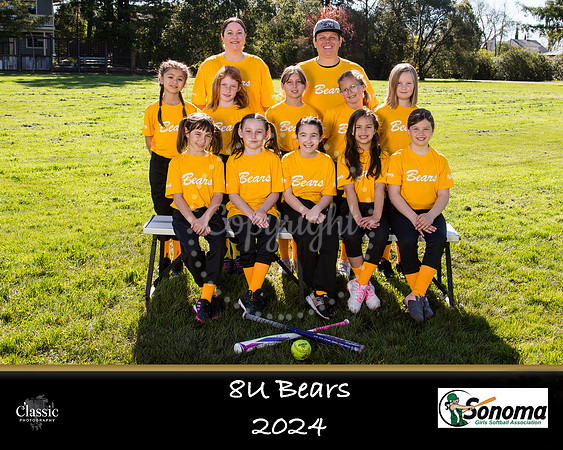 Bears