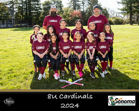 Cardinals