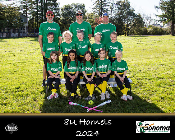 Hornets