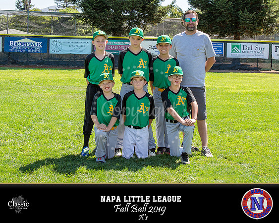 NV_templateNLL fall ball 19