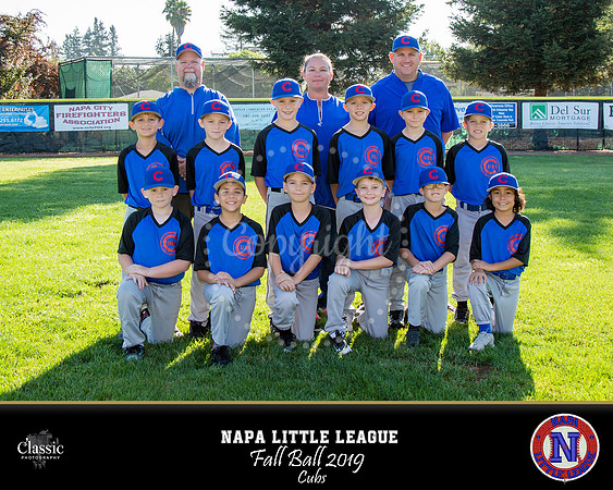 NV_templateNLL fall ball 19