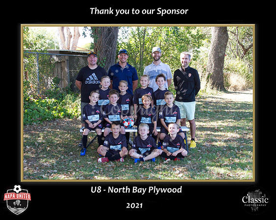 NBPlywoodSponsor