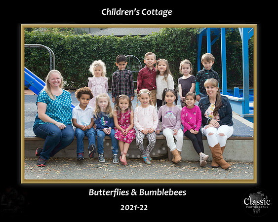 butterflies