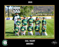 Bruins