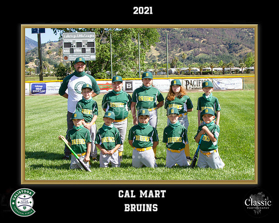 Bruins