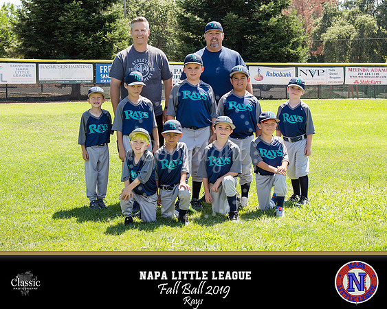 NV_templateNLL fall ball 19