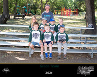 Greenteam