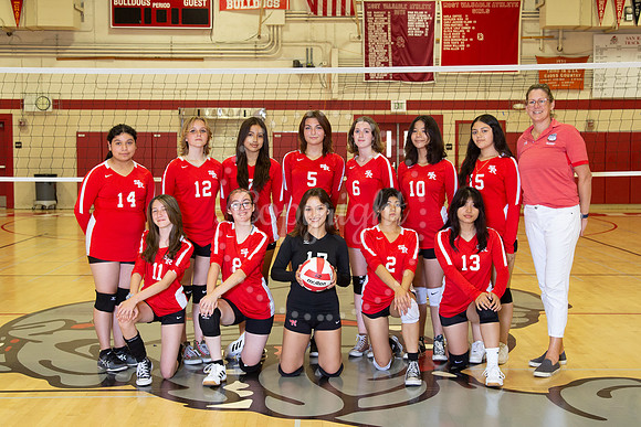 FroshVball