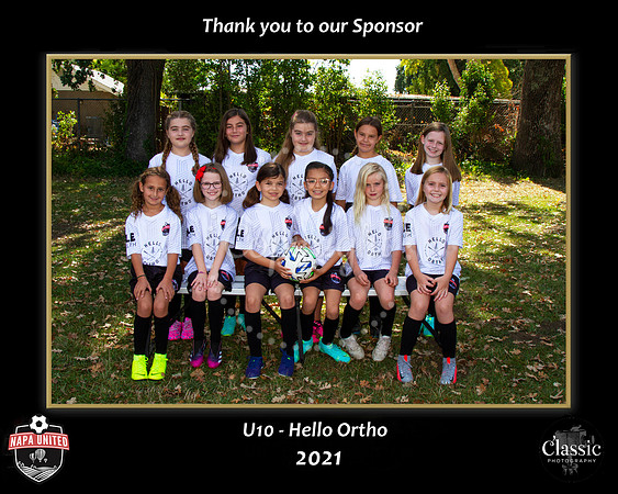 sponsor