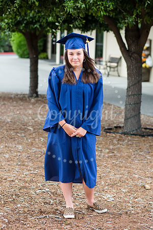 IMG_0227-Edit-1