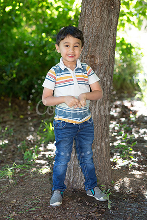 IMG_0313pp2