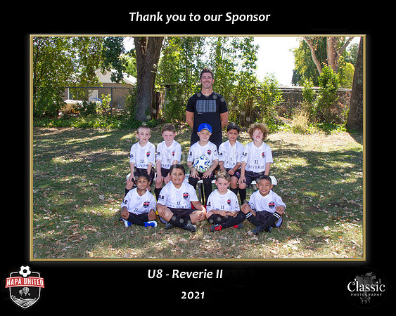 RevSponsor
