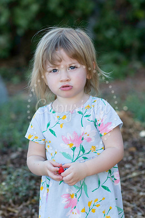 IMG_0435-Edit
