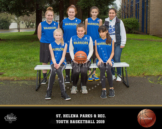 NV_template- basketball