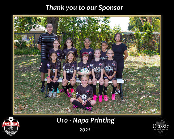 NPrintingSponsor