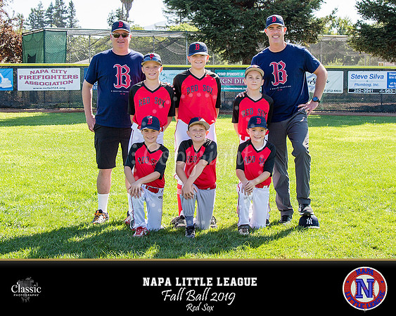 NV_templateNLL fall ball 19