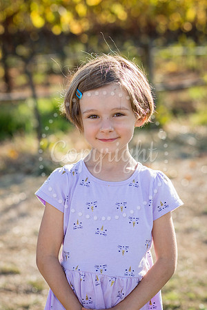 bollman-huckleberry-3