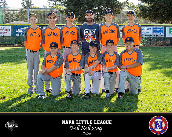NV_templateNLL fall ball 19