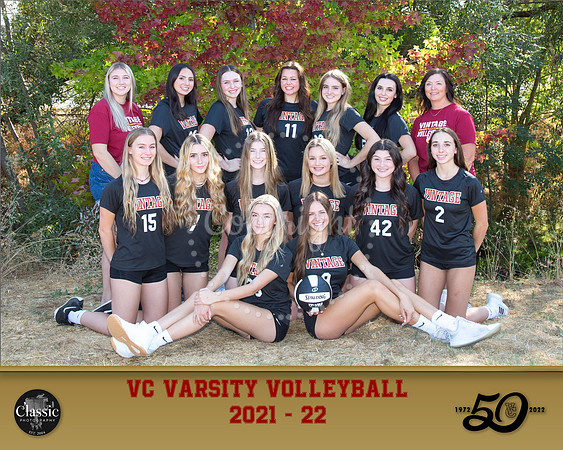 VarsityVball