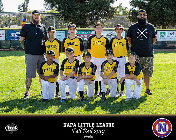 NV_templateNLL fall ball 19