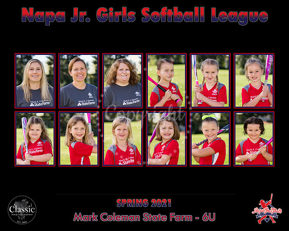 Mark Coleman State Farm_7