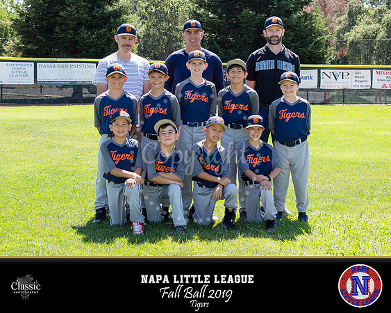 NV_templateNLL fall ball 19