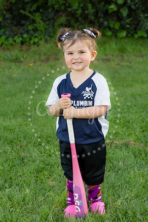 IMG_0252 copy