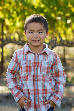 greeson-mulberry-3