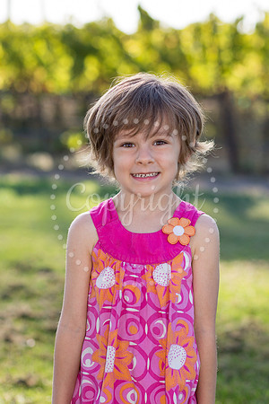 bollman-huckleberry-1